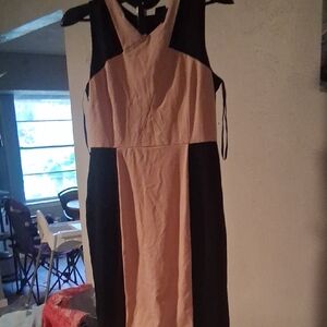 Elegant Black and Cream Dress